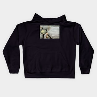 Grey pumpkins Kids Hoodie